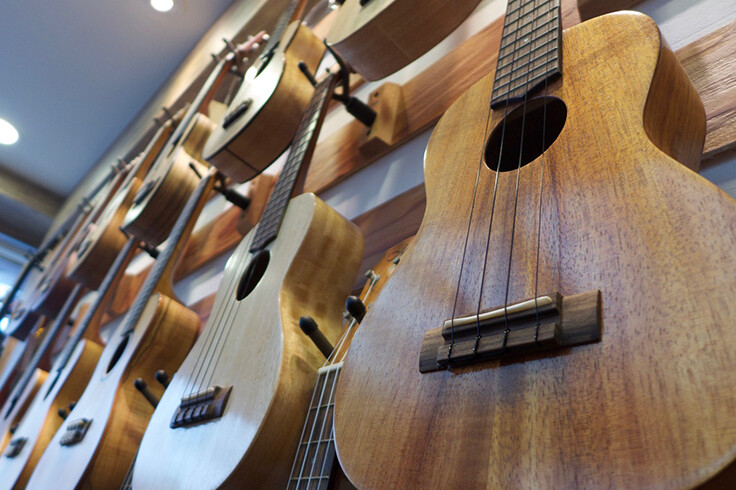 Ukulele School