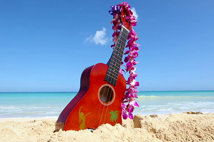 Affordable ukulele lessons