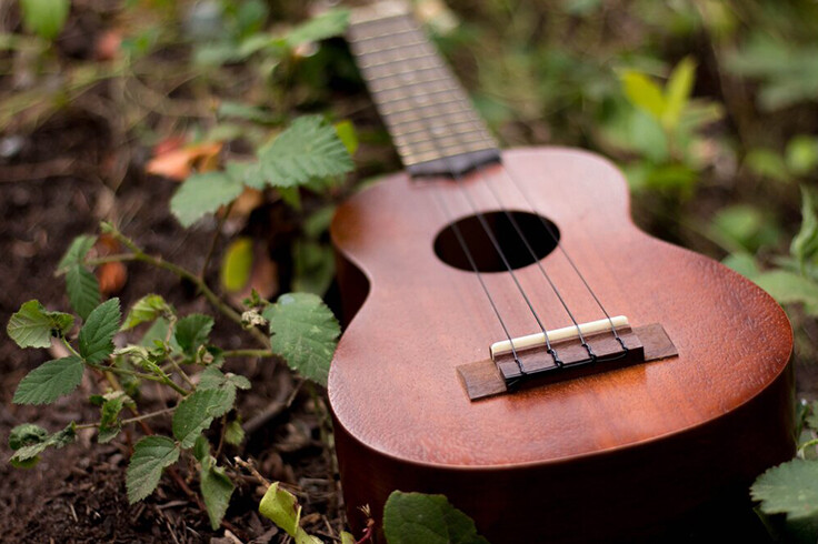 ukulele class singapore