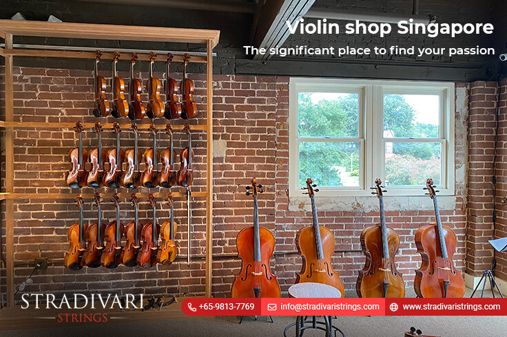 Violin shop Singapore The significant place to find your passion