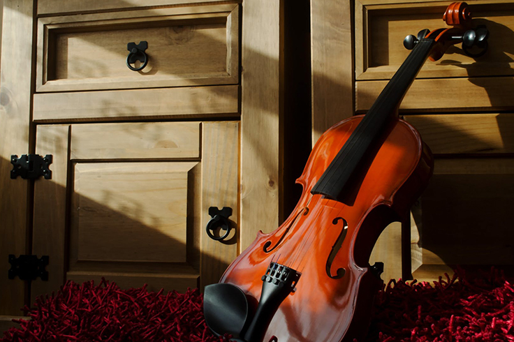 beginner violin lessons for adults