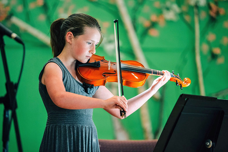 Beginner Violin Lessons For Adults