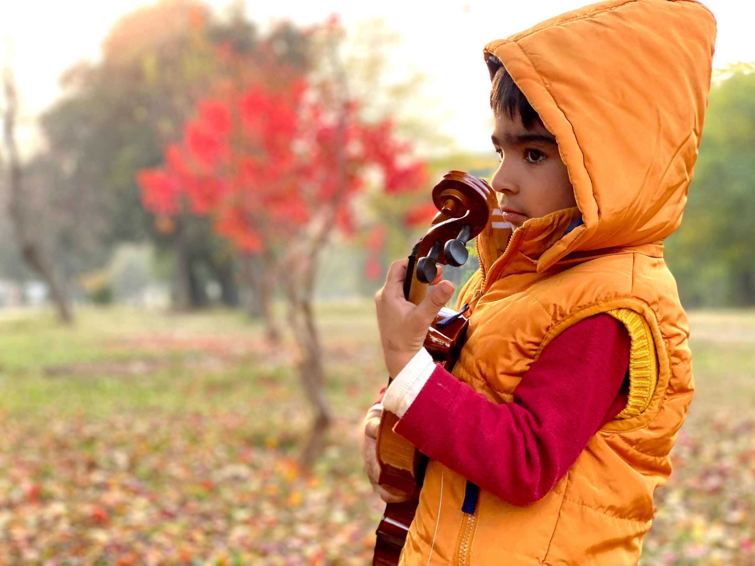 Why Parents Must Encourage Private Violin Lessons For Kids