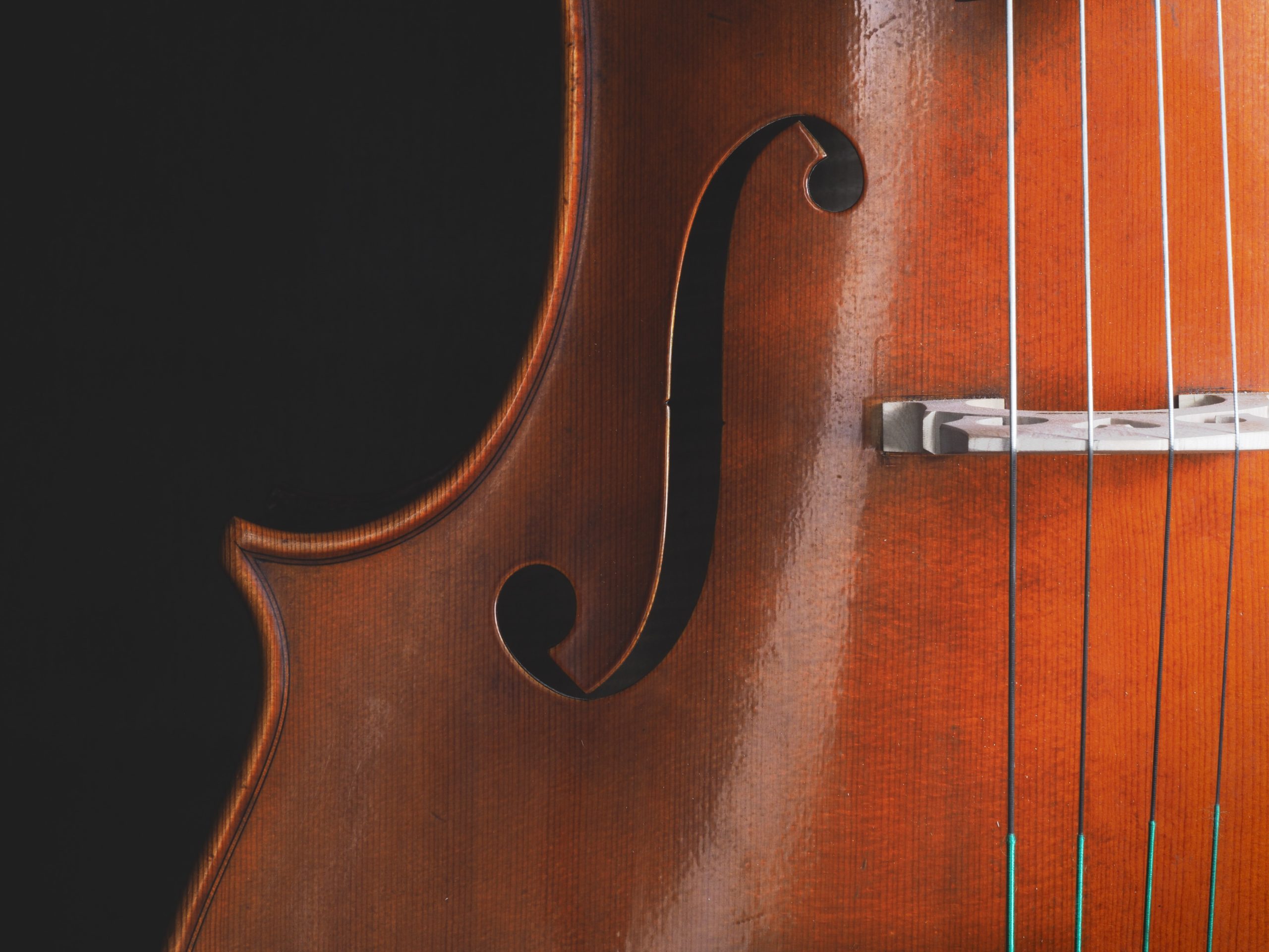 Questions to ask while deciding on a violin shop Singapore